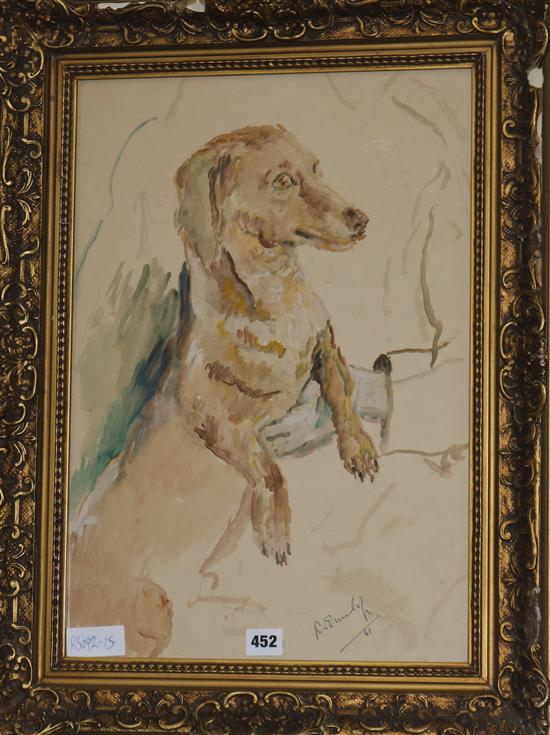 Ronald Ossory Dunlop (1894-1973) Study of a dachshund 50 x 34cm